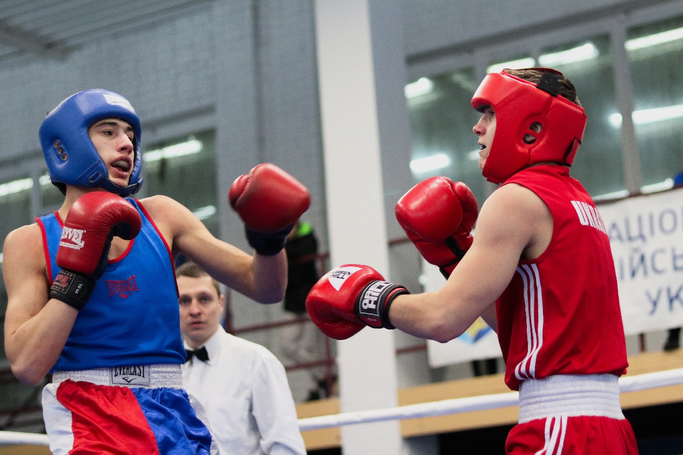 кубок по боксу. мирный бокс 2015. бокс финалы. бокс финалы. бокс финалы.