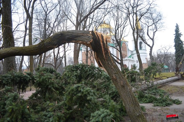 Визитка Яроша, Чернигов