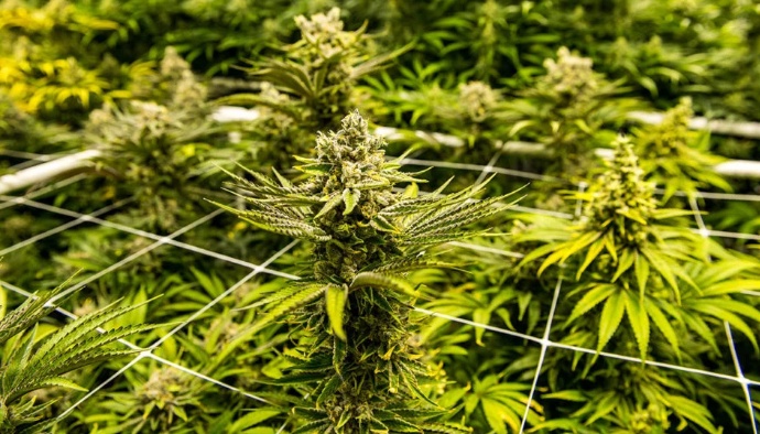 ������ ���������