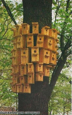 60 ������������ �� ����� ������