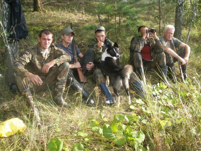 �����������