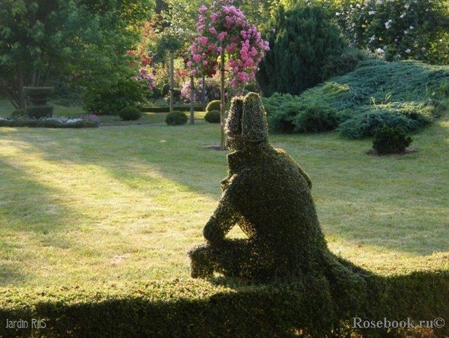 Пример топиарных растений