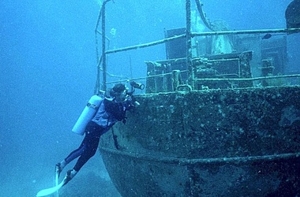 �����������