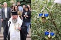 � �������� ��������� ���ʼ��� ����, �� �������� �������� �����...