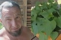 ������� � ���� ������: ������� ���� ��������� �������� ������ ������...