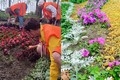 � ͳ���� ����� ����� ����������� ���� � ���� � ����������� �����